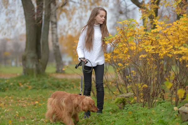 Sonbaharda Beyaz Kazaklı Bir Kız Köpek Ile Parkta Yürür — Stok fotoğraf