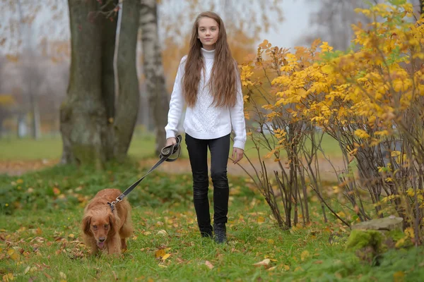 身穿白色毛衣的女孩带着狗在公园里散步 — 图库照片