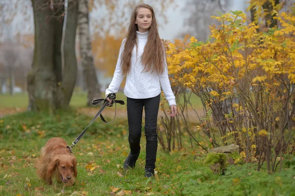 身穿白色毛衣的女孩带着狗在公园里散步 — 图库照片
