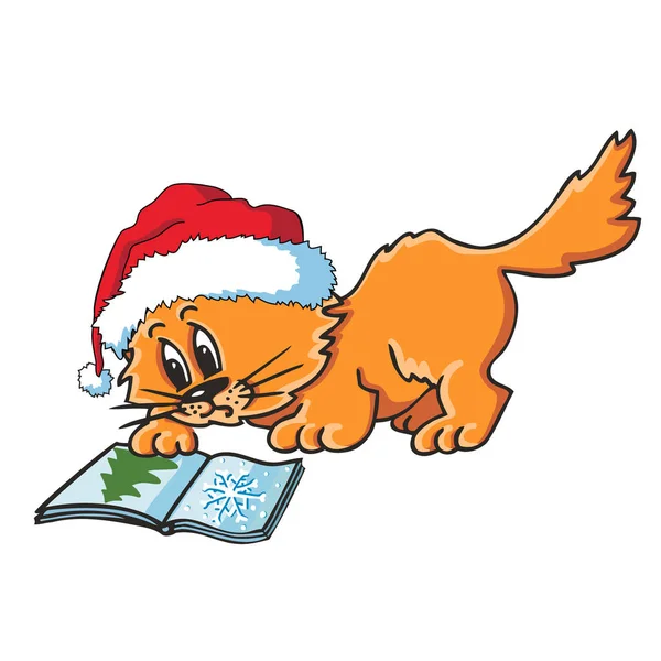 Kot. Boże Narodzenie cat. Boże Narodzenie cat z książką. — Wektor stockowy