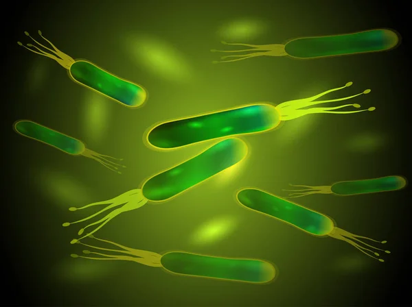 Les bactéries Helicobacter pylori. Vecteur . — Image vectorielle