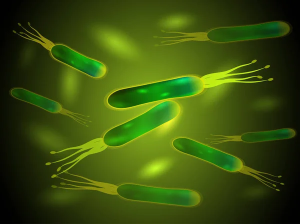 Bacteria Helicobacter pylori. Vector de. — Vector de stock