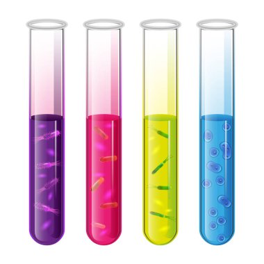 Test tüpleri sıvı ve bakteri hücre ve pylori ile ayarlayın. Vektör