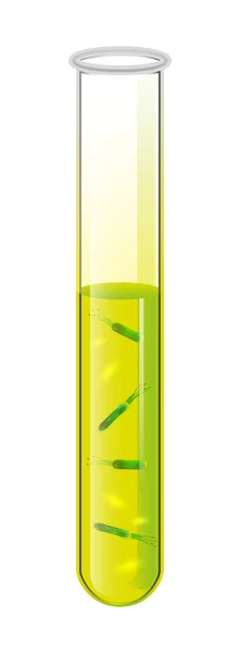 Zkumavka s kapalným a žluté bakterie buňkou. Vektor. — Stockový vektor
