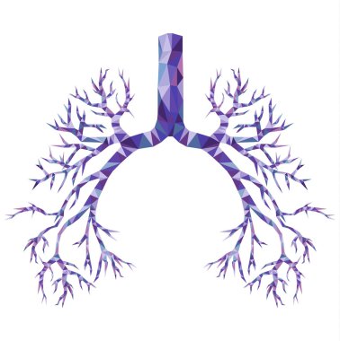 Human low poly bronchus with trachea, carina in purple and blue. clipart