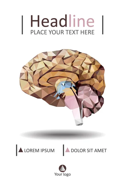 Realistische menselijk brein in lage poly. Voorbladsjabloon van ontleed — Stockvector