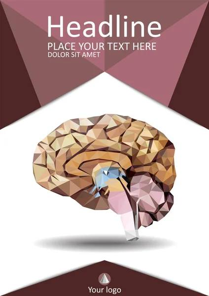 낮은 폴 리에서 현실적인 인간의 두뇌입니다. 표지 서식 파일의 해 부 — 스톡 벡터