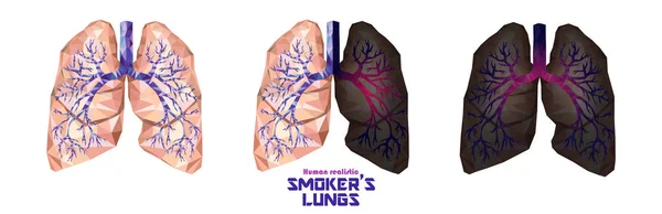 Pulmones de fumador en polietileno bajo. Pulmones sanos, pulmones enfermos, cance — Vector de stock