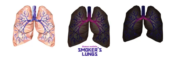 Pulmones de fumador en polietileno bajo. Pulmones sanos, pulmones enfermos, cance — Vector de stock