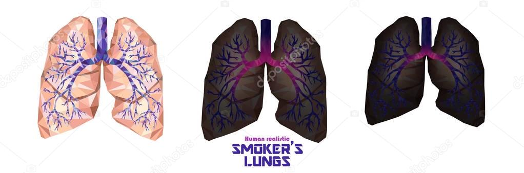 Smoker's lungs set in low poly. Healthy lungs, sick lungs, cance