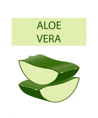 Aloe vera bitki üzerinde beyaz izole kesme bırakır.  