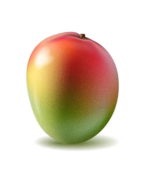 Mango fruit for fresh juice. 3d realistic yellow, red, orange ri Royalty Free Stock Vectors
