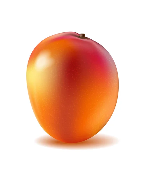 Fruta de mango para zumo fresco. 3d realista amarillo, rojo, naranja ri — Archivo Imágenes Vectoriales