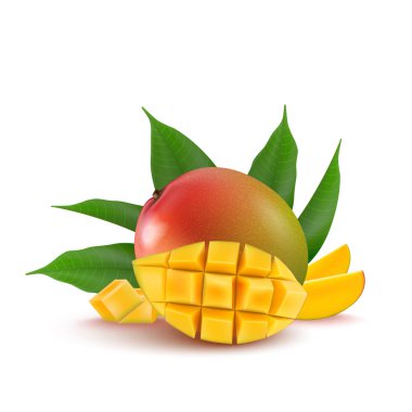 Mango meyve taze meyve suyu, reçel, yoğurt, hamuru. 3D gerçekçi yel