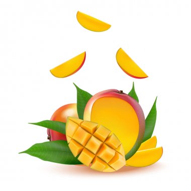 Mango meyve taze meyve suyu, reçel, yoğurt, hamuru. 3D gerçekçi yel
