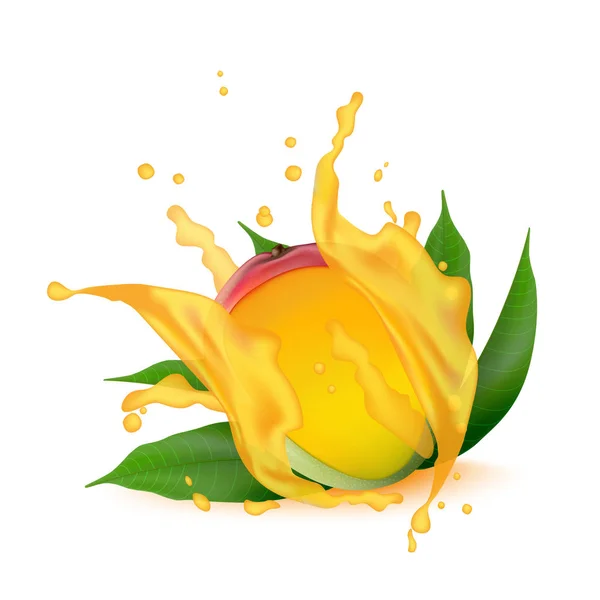 Splash Juice mango, pomeranč, broskev s listy izolované na whi — Stockový vektor