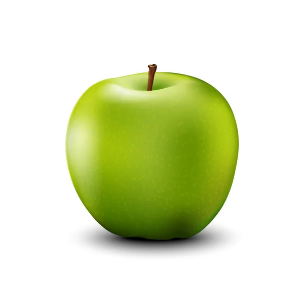 Grüner Apfel realistisch detailliert. Vektor. — Stockvektor