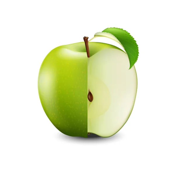 Vector realista corte de manzana verde con semillas y hoja. Fru en rodajas — Archivo Imágenes Vectoriales