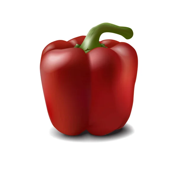 Realistische 3D süße rote Paprika mit Stiel isoliert auf weißem Backg — Stockvektor