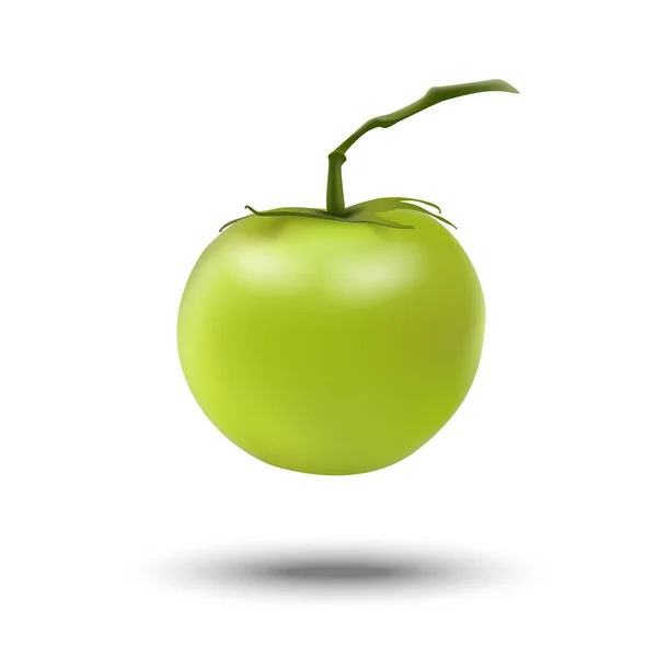 Реалістичний 3d зелений свіжий помідор ізольований на білому тлі. Перейти — стоковий вектор