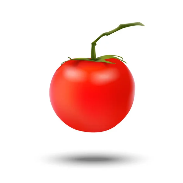 Realista 3d tomate vermelho isolado no fundo branco. Bom para p — Vetor de Stock