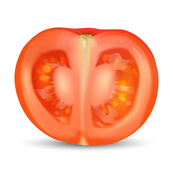 Tomat organik realistis dipotong setengah potong. Tomat merah - Stok Vektor