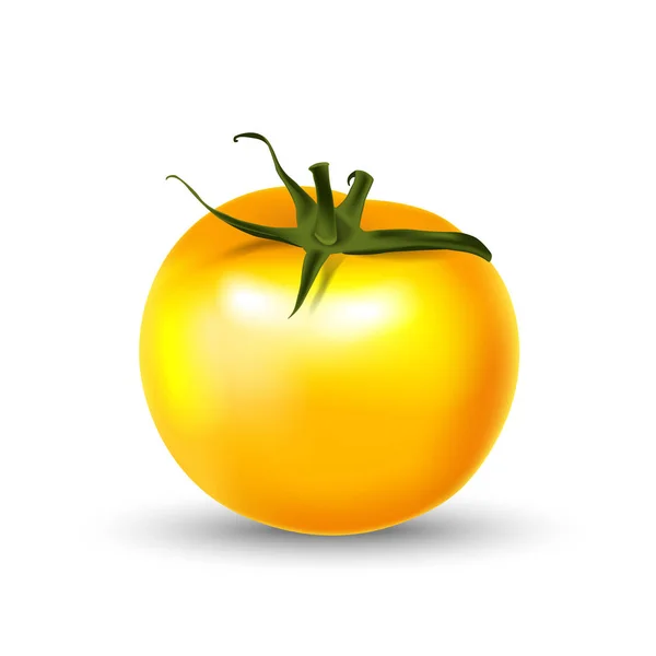 Tomate amarillo 3d realista aislado en blanco . — Vector de stock