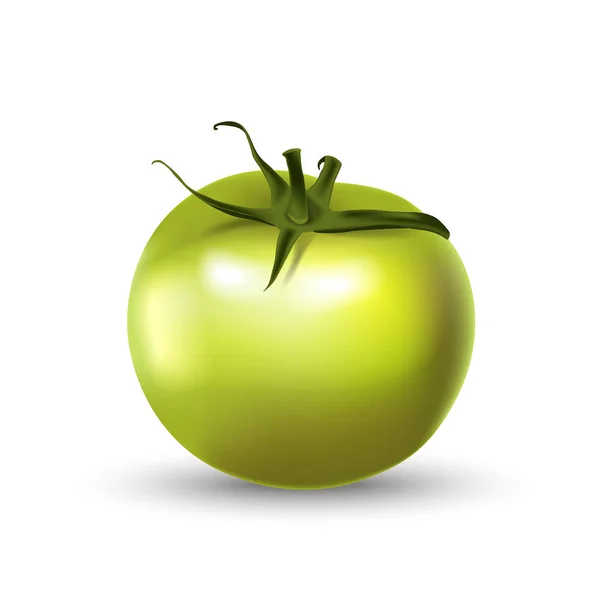 Tomatengrün 3D realistisch isoliert auf weiß. — Stockvektor