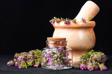 Thymus serpyllum bitki şişe