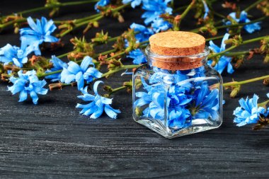 Ortak hindiba ot şişe