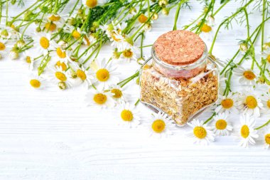 Kurutulmuş ve taze papatya çiçeği