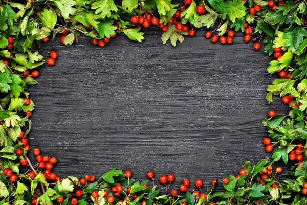 Weißdorn (crataegus) auf schwarzem Holztisch — Stockfoto