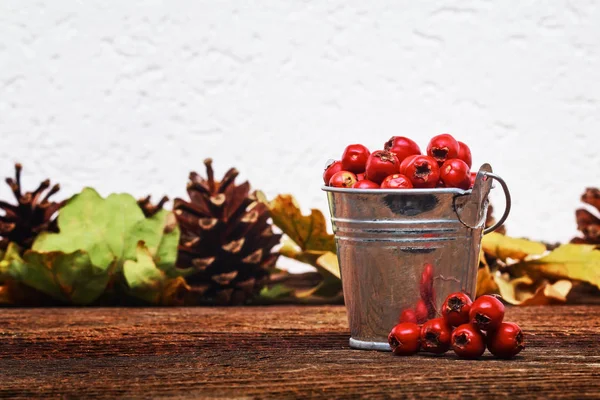 Herbststilleben — Stockfoto