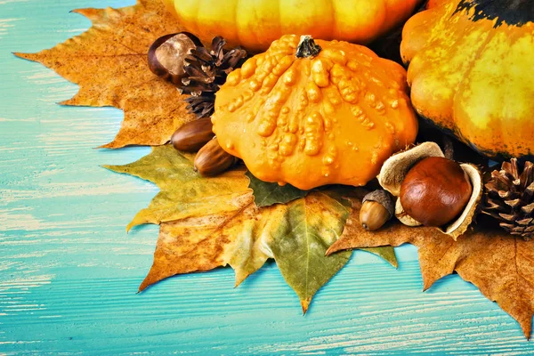 Fondo de otoño con calabazas — Foto de Stock