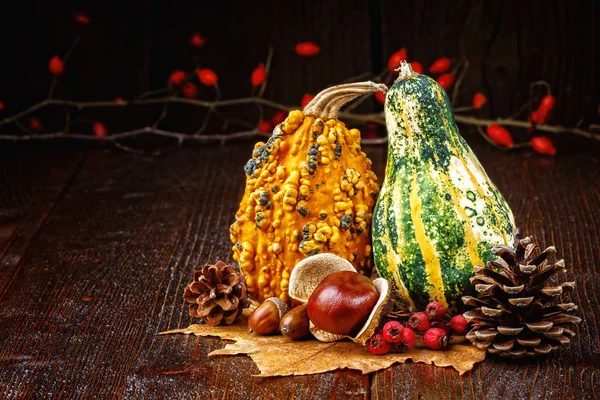 Осенний фон с тыквами — стоковое фото