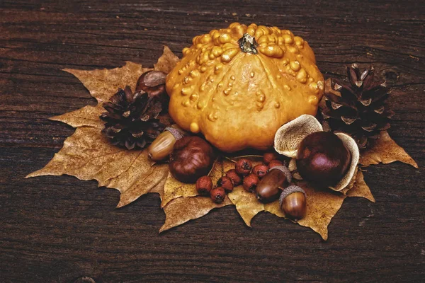 Fondo de otoño con calabazas — Foto de Stock