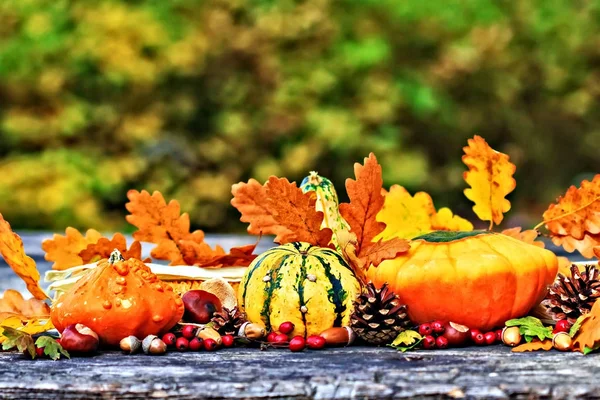 Осенние тыквы на столе для пикника — стоковое фото