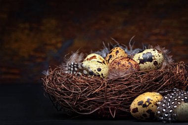 bıldırcın yumurtası