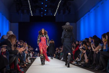 Pascal darı sonbahar/kış 2017 Show'da model