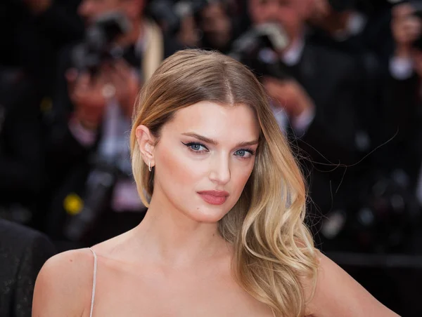 Lily Donaldson at Cannes Film Festival — Stock Photo, Image