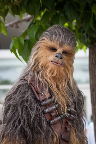 Cannes Francia Mayo 2018 Chewbacca Asiste Fotoconvocatoria Solo Una Historia — Foto de Stock