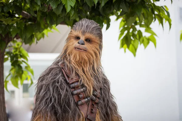 Cannes Francia Mayo 2018 Chewbacca Asiste Fotoconvocatoria Solo Una Historia — Foto de Stock