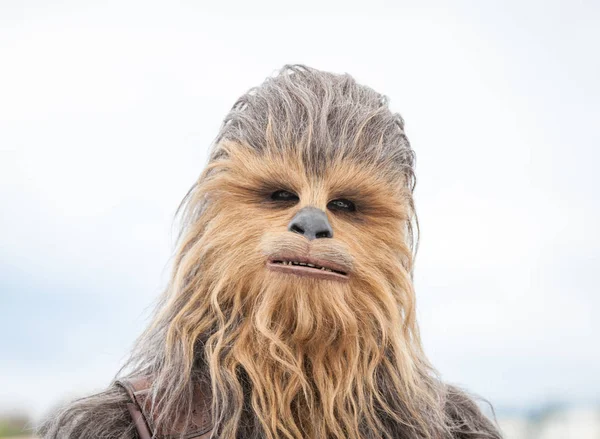 Cannes Francia Mayo 2018 Chewbacca Asiste Fotoconvocatoria Solo Una Historia — Foto de Stock