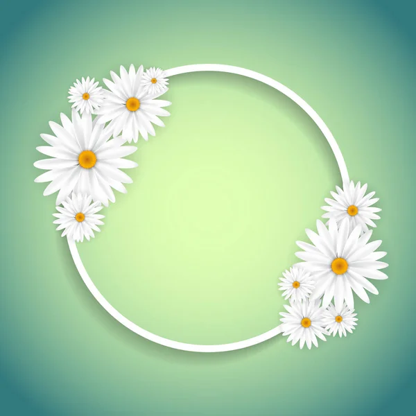 Dekorativa daisy ram — Stock vektor