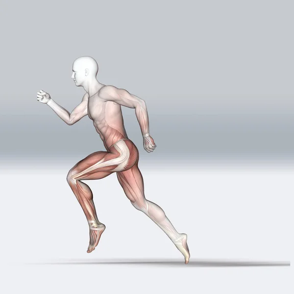 Render Medical Figure Running Pose Muscle Map — Stock Photo, Image