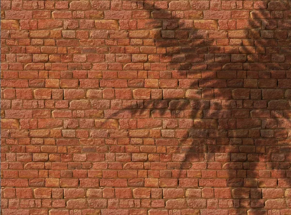 Render Fern Shadow Old Brick Wall — Stock Photo, Image