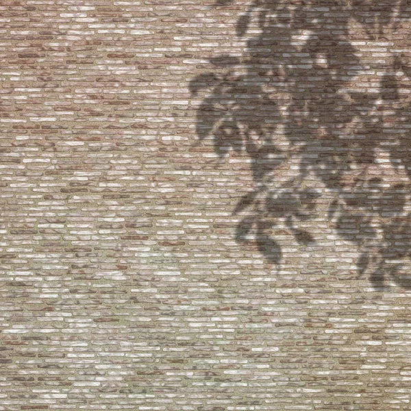 Визуализация Тени Листьев Кирпичной Стене Текстуры — стоковое фото