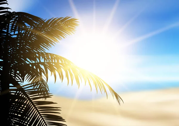 Silhouette Einer Palme Auf Einer Defokussierten Strandlandschaft — Stockvektor