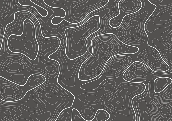 Abstrakt Background Topography Contour Map Design — Stockový vektor