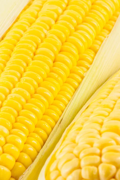 Zrna zralého kukuřice — Stock fotografie